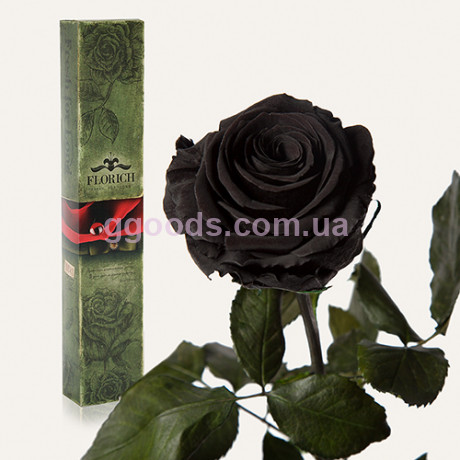 Долгосвежая роза Черный Бриллиант 7 карат