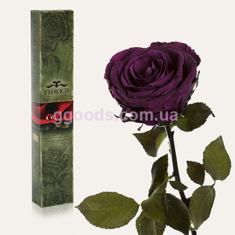 Долгосвежая роза Фиолетовый Аметист 7 карат