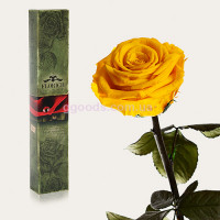 Долгосвежая роза Солнечный цитрин 7 карат (на коротком стебле)