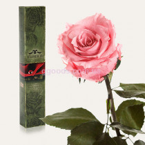 Роза Розовый кварц 7 карат (на коротком стебле)