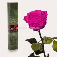 Долгосвежая роза Малиновый Родолит 7 карат