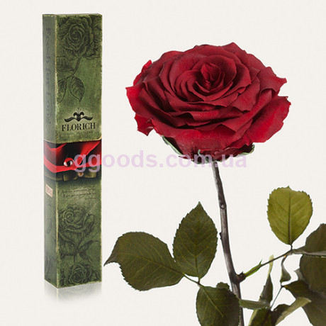 Долгосвежая роза Багровый Гранат 7 карат