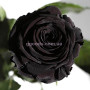 Розы Florich Черный Бриллиант 3 шт в подарочной упаковке
