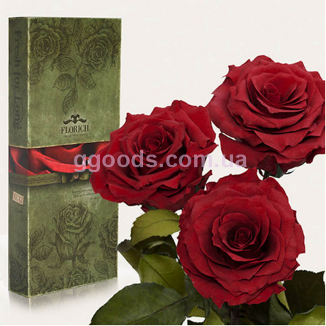 Розы Florich Багровый гранат 3 шт в подарочной упаковке