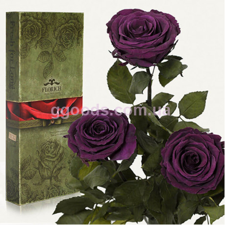 Розы Florich Фиолетовый Аметист 3 шт в подарочной упаковке