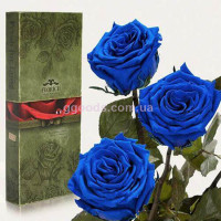 Долгосвежие розы Синий сапфир 7 карат 3 шт