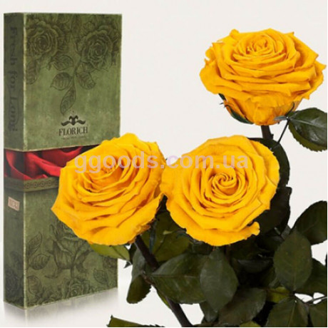 Розы Florich Солнечный цитрин 3 шт в подарочной упаковке