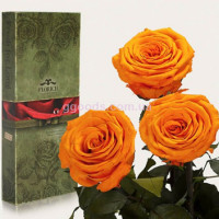 Долгосвежие розы Оранжевый цитрин 7 карат 3 шт