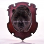 3D пазл Медведь трофей
