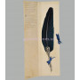 Перо для письма с изображением дракона синее Dallaiti Piu 05