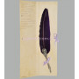 Перьевая ручка с изображением дракона Dallaiti фиолетовое Piu 05